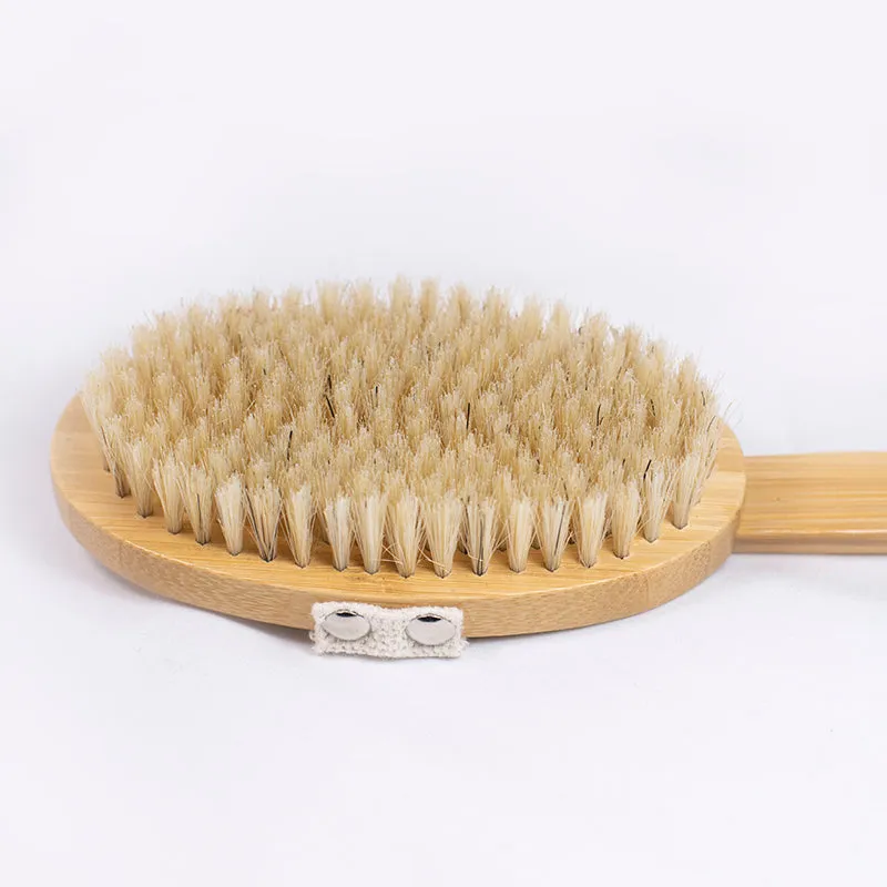 Long Handled Wet/Dry Brush